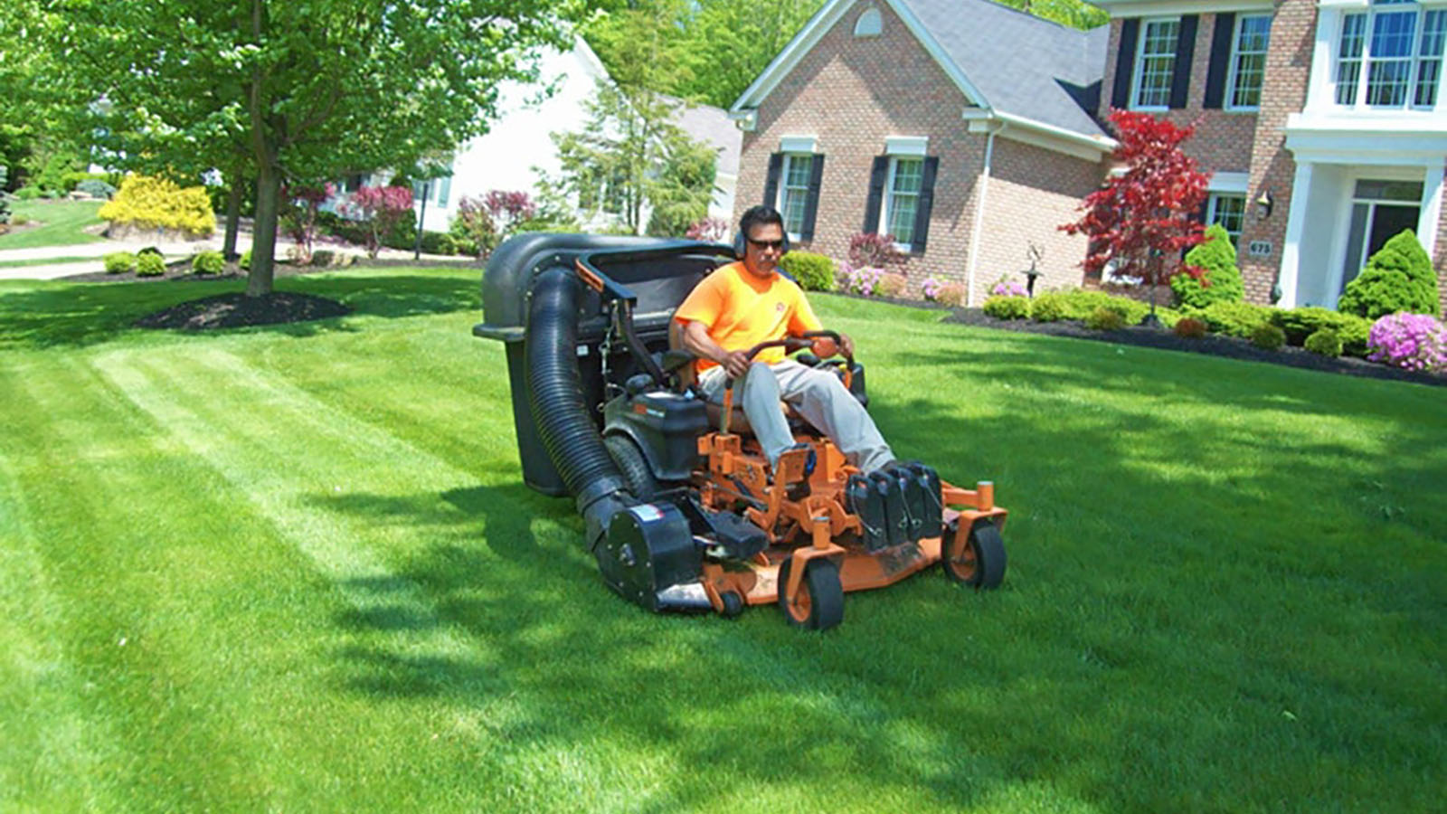 lawn maintenance