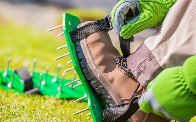 lawn aeration