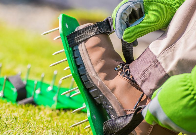 lawn aeration