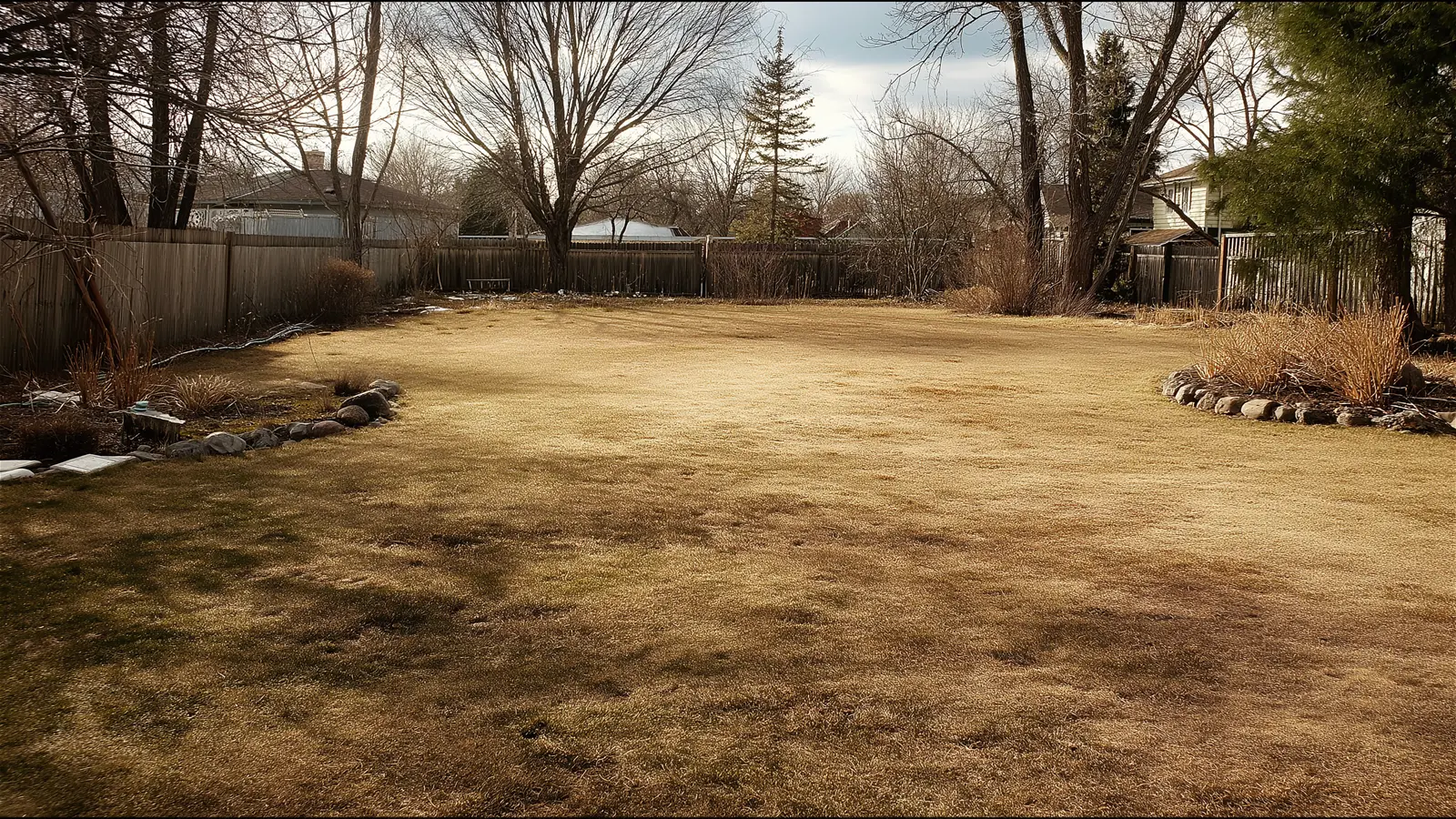 Early Spring Lawn Care Mistakes to Avoid