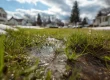 Early Spring Lawn Care Mistakes to Avoid