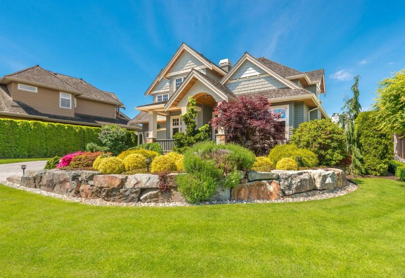 evergreen landscaping