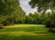 How to Identify and Treat Lawn Fungus in Northeast Ohio Lawns