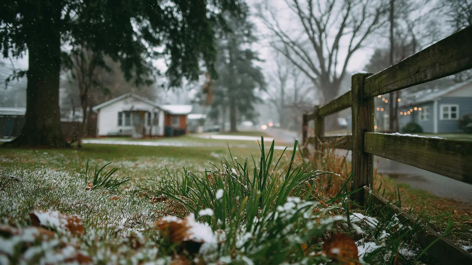Why Spring Lawn Repairs Fail When Winter Soil Damage Is Ignored Why Spring Lawn Repairs Fail When Winter Soil Damage Is Ignored