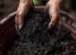 How to Create a Zero-Waste Garden