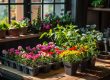 Indoor Winter Planting