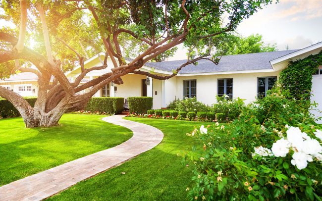 lawn care