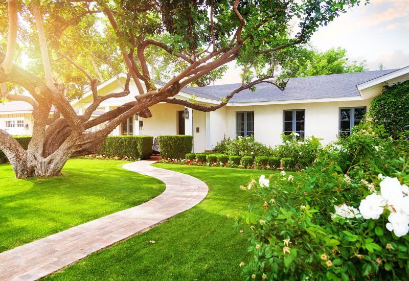 lawn care