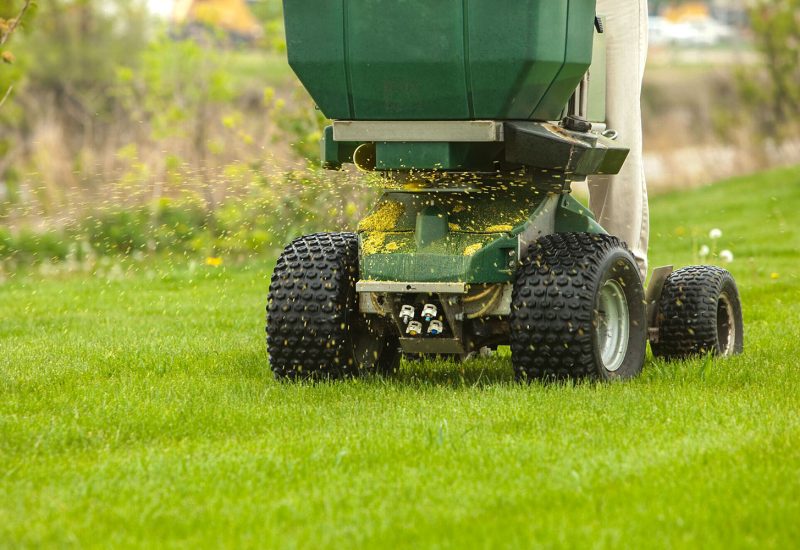 lawn disease treatment