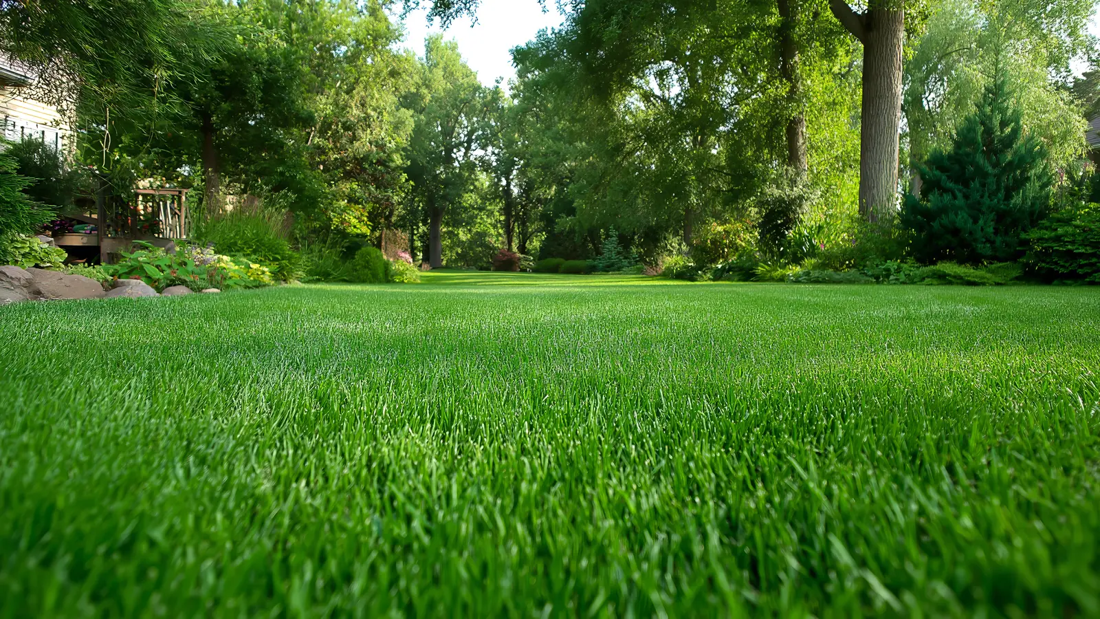 Why Your Lawn Looks Worse in March Than It Did in Winter Why Your Lawn Looks Worse in March Than It Did in Winter