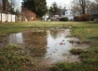 Why Your Lawn Looks Worse in March Than It Did in Winter
