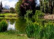 ponds and water gardens