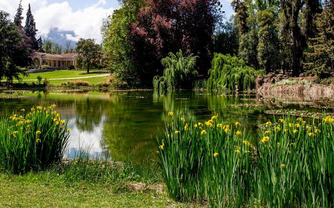 ponds and water gardens