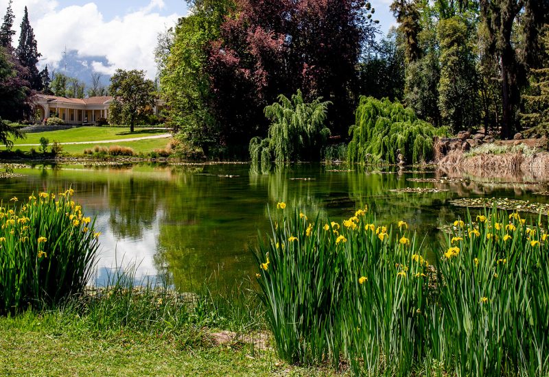 ponds and water gardens