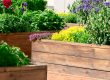 raised garden beds