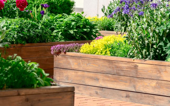 raised garden beds