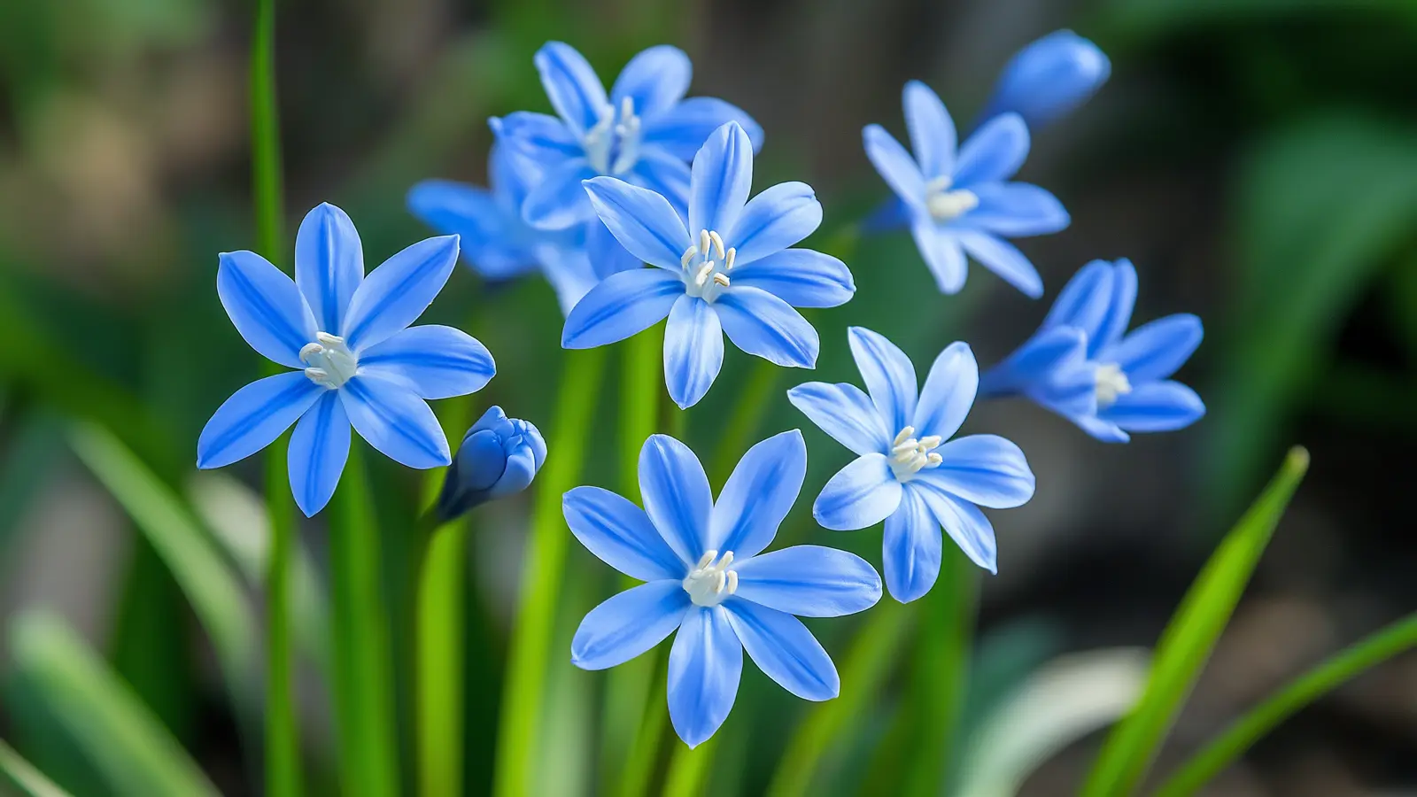 The Best Plants and Flowers to Kickstart Your Spring Landscape The Best Plants and Flowers to Kickstart Your Spring Landscape
