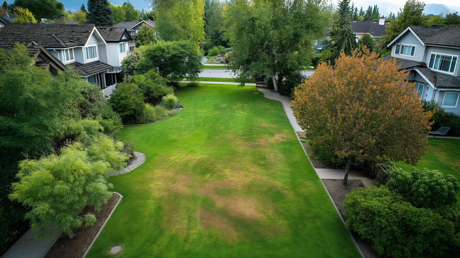 Summer Lawn Stress: How to Spot, Repair and Prevent Heat Damage Summer Lawn Stress: How to Spot, Repair and Prevent Heat Damage