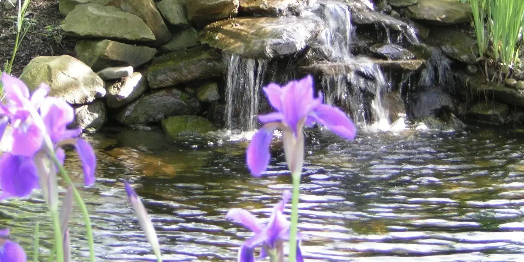 water-features-104