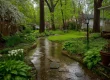 Why Does My Yard Stay Wet After Rain?